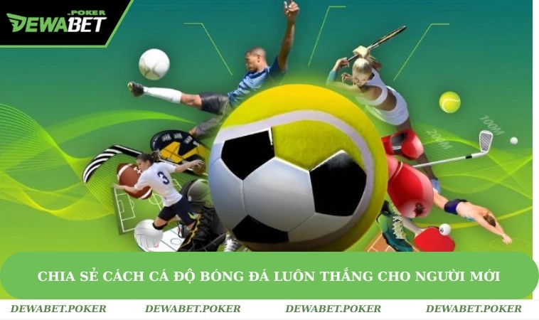 Chia Sẻ Cách Cá Độ Bóng Đá Luôn Thắng Tại Nhà Cái DEWABET 2 Bật mí cách cá độ bóng đá luôn thắng từ cao thủ